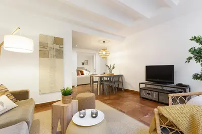 a living room with a couch and a tv at Columbus Apartment in Barcelona