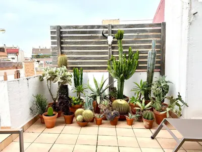 a bunch of cacti and other plants on a balcony at Àtic Trobador in Barcelona