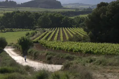 a man walking down a dirt road next to a field at Ca l'Helena in Castellet