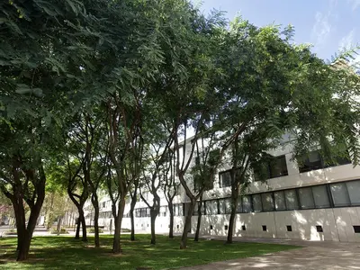 a group of trees in front of a building at Apartment Vila Olimpica Pamplona by Interhome in Barcelona