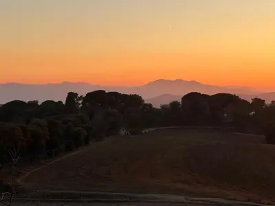 a sunset over a field with trees and a dirt road at Casa Magnolia in Dosríus