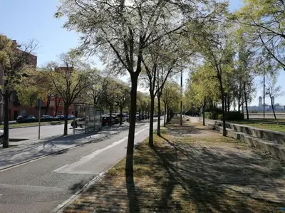 a street with trees on the side of the road at Piso pl 2B, 20min Plaza Cataluña in Sant Adria de Besos