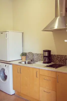 a kitchen with a sink and a washing machine at Gaudi Apartment 9 in Barcelona