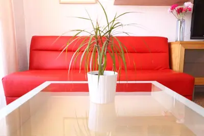 a red couch with a potted plant on a glass table at Bordeta in Barcelona