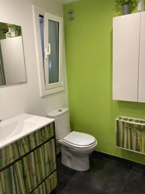 a green bathroom with a toilet and a sink at Precioso Dúplex con terraza a 5 minutos playa y 20 minutos de Barcelona in Premiá de Mar