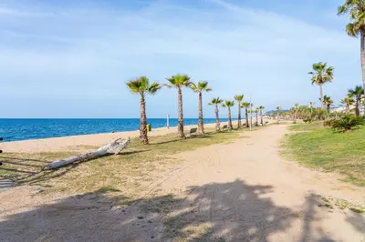 a sandy beach with palm trees and the ocean at Hauzify I Apartament Ponent in Pineda de Mar