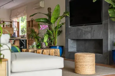 a living room with a couch and a fireplace at BARCELONA´S TROPICAL OASIS in Sant Just Desvern