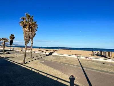 a sandy beach with palm trees and the ocean at Forum Playa and Pool Barcelona in Barcelona