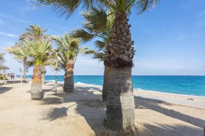 an empty street with a building and a palm tree at HomeHolidaysRentals Estrella - Costa Barcelona in Pineda de Mar