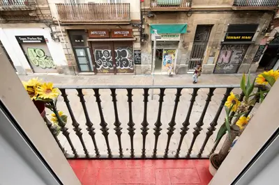 a view of a street from a balcony with flowers at AB Paralel Blai Apartment in Barcelona