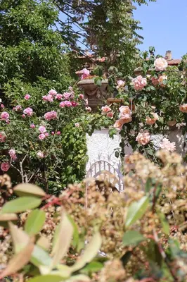 a white bench in a garden with pink roses at Bell Plançó B&B in Moià