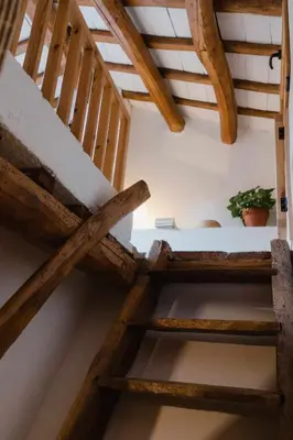 two wooden stairs in a room with a plant at Ca l'Espavil in Cardedeu