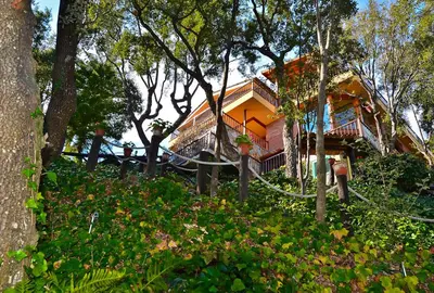 a house with trees and flowers in front of it at Fantástica casa con vistas al mar in Arenys de Munt