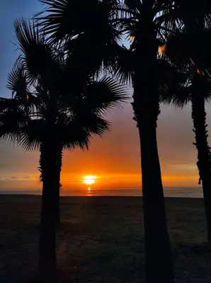 two palm trees with the sunset in the background at Fantástico apartamento en la playa. A/A y vistas in Pineda de Mar