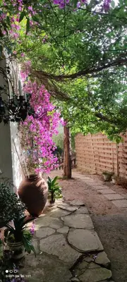 a garden with pink flowers and a tree at Caldetas in Caldes d'Estrac
