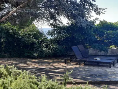 a blue bench sitting on a patio under a tree at Caldetas in Caldes d'Estrac