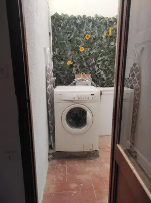 a washing machine in front of a hedge with flowers at Apartamentos Can Bruguera 4 in Mataró