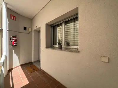 a hallway with a window with a potted plant at Cozy apartment well-located in Terrassa, Barcelona in Terrassa