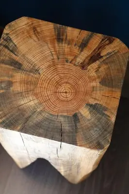 a close up of a wooden stump of a tree trunk at Apartment Vila Olímpica Barcelona next to beach & garden in Barcelona