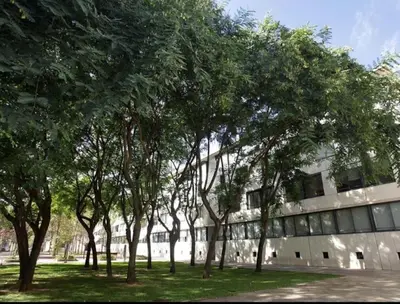 a row of trees in front of a building at Apartment Vila Olímpica Barcelona next to beach & garden in Barcelona