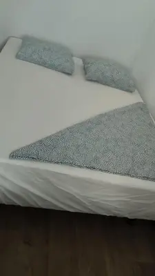 a bed with two pillows on top of it at Sant Adrià in Sant Adria de Besos