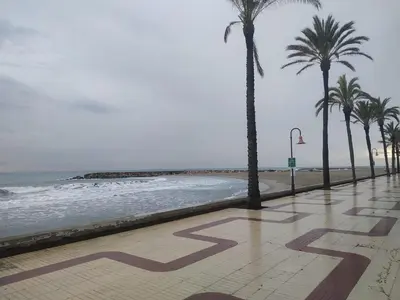 a beach with palm trees and the ocean with the number at Apartamento, 3° línea de playa in Cubelles