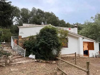 a small white house with a tree in front of it at Hidden garden Central and quiet rest in Barcelona