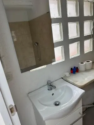 a bathroom with a sink and a mirror at Hidden garden Central and quiet rest in Barcelona