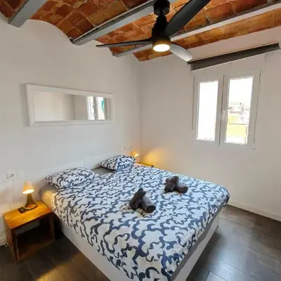Magnificent apartment Camp Nou