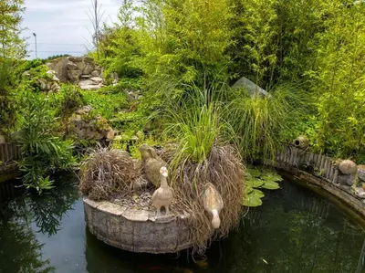 a garden with three ducks in the water at Finca Montnegre Suites and Spa in Sant Iscle de Vallalta