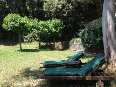 two green chairs sitting on a table in a yard at Hostal l´Ou de Reig in Montseny