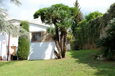 a garden with a tree and a stone fence at Casa familiar en la playa con piscina in Teià