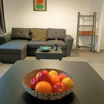 Suitur apartamento floridablanca barcelona