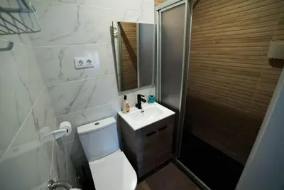 a bathroom with a toilet and a sink and a shower at Apartament Roca Foradada in Monistrol
