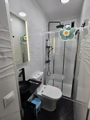 a bathroom with a shower and a toilet and a sink at Habitación doble con baño privado in Hospitalet de Llobregat