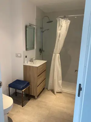 a bathroom with a shower and a sink and a toilet at LOFT CAL XURIGUER in Font-Rubí