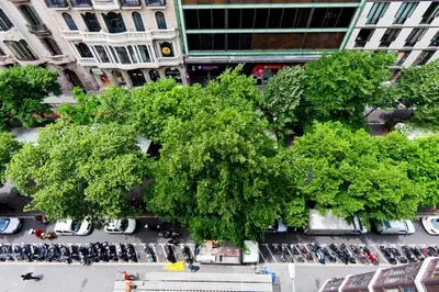 an overhead view of a tree in a city at Stay U-nique Apartments Rambla Catalunya III in Barcelona