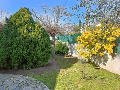 a garden with two trees and a wall at Casa con jardín y piscina privada. in Santa Eulalia de Ronsaná