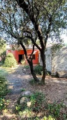 a tree in a yard next to a red building at Casa de invitados in La Torre de Claramunt