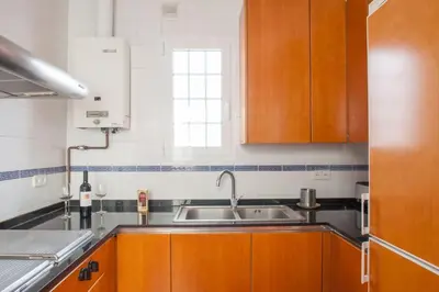 a kitchen with wooden cabinets and a sink at Ático con encanto, centro, con aparcamiento in Barcelona