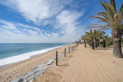 a sandy beach with palm trees and the ocean at HomeHolidaysRentals Noelani- Costa Barcelona in Pineda de Mar
