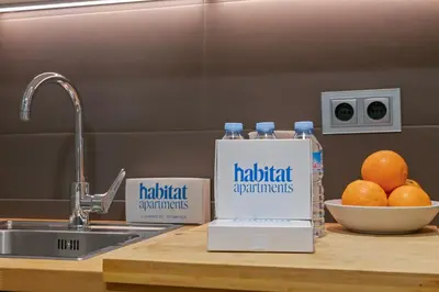 a kitchen counter with a bottle of water and a bowl of oranges at Habitat Apartments Arenas Parc in Barcelona