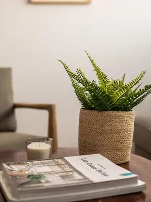 a potted plant sitting on a table with a candle at Homing Barcelona 101 in Hospitalet de Llobregat
