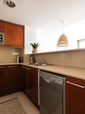 a kitchen with a sink and a dishwasher at Homing Barcelona 101 in Hospitalet de Llobregat