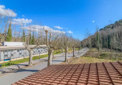 a group of trees on the side of a road at Cal Metge de Gualba in gualba de Dalt