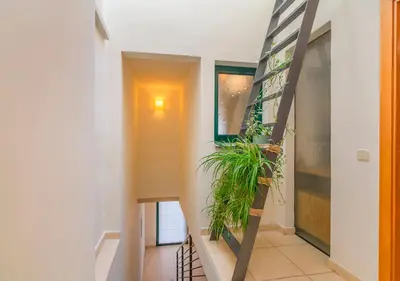 a hallway with a staircase with a plant at Cal Metge de Gualba in gualba de Dalt