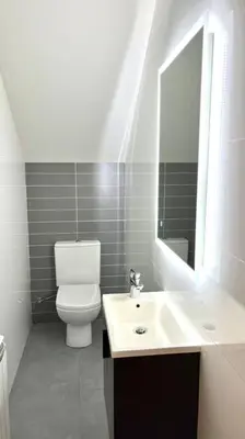 a bathroom with a toilet and a sink and a mirror at Dúplex con terraza by Prestigi in Terrassa