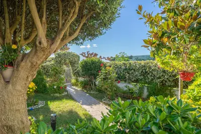 a garden with a tree and a walkway at HomeHolidaysRentals Ancora - Costa Barcelona in San Pol de Mar