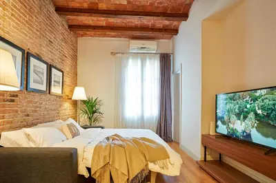 a bedroom with a large bed and a television at Catalan Comfort near Sagrada Familia by MyRentalHost in Barcelona