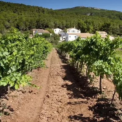 Finca Can Romeu: alojamiento rural entre viñedos
